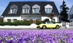 What To Look for When Buying a Display Home